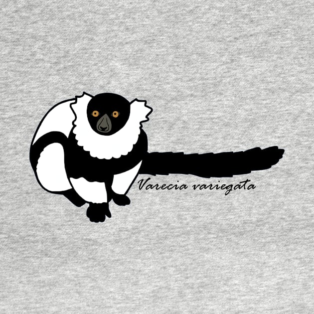 Kizzy B&W Ruffed Lemur w/ Sci name by wildlifeandlove